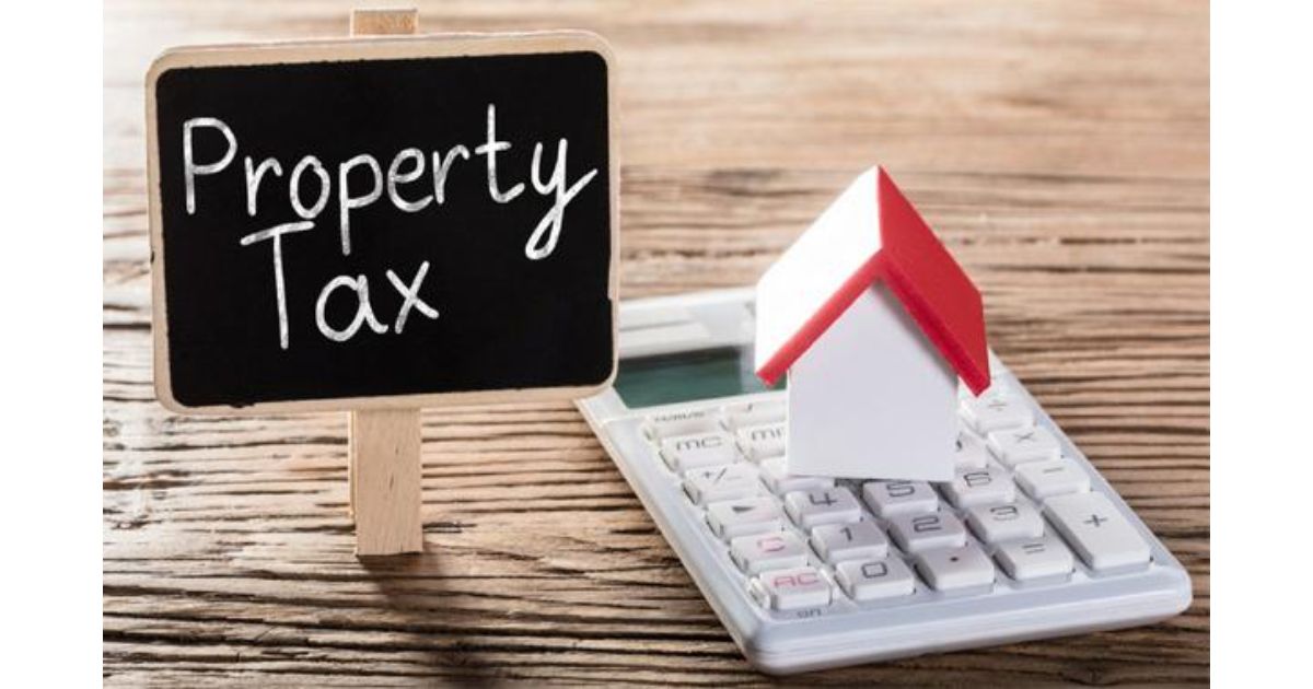 How can I check my GVMC property tax assessment online?